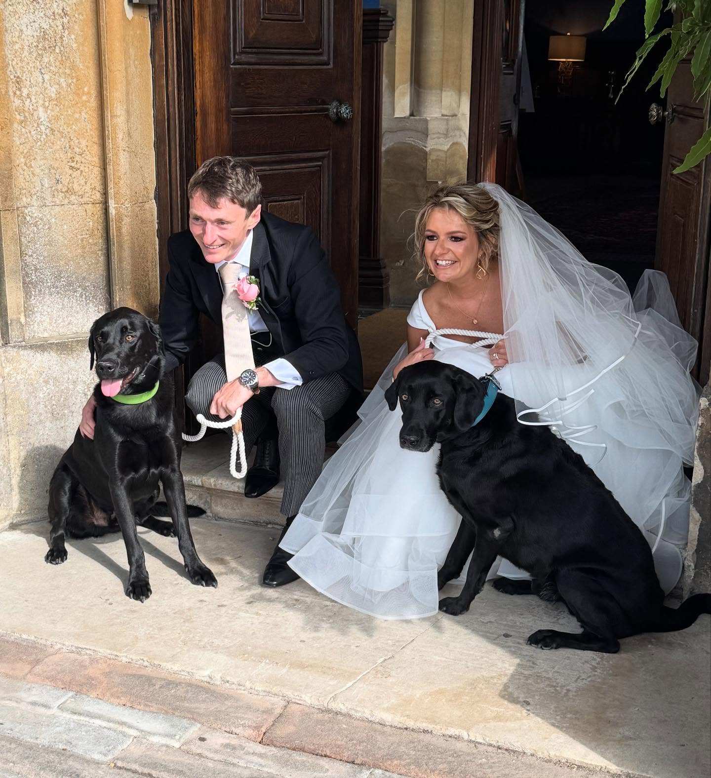 Bride and groom on church steps with two black labradors